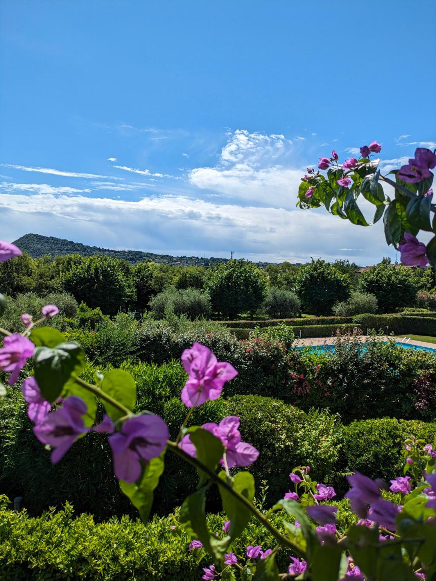 La Fenice Holiday Apartment Manerba del Garda Bagian luar foto